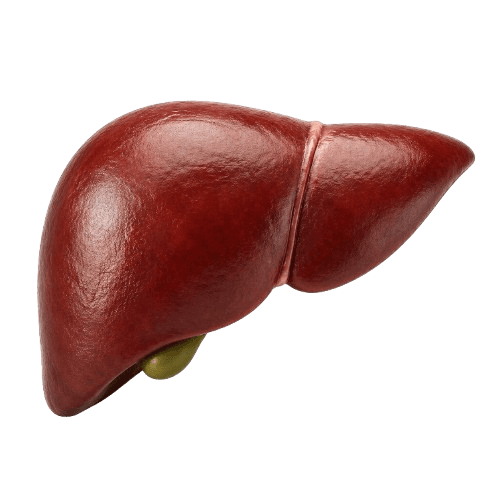 Undo fatty liver